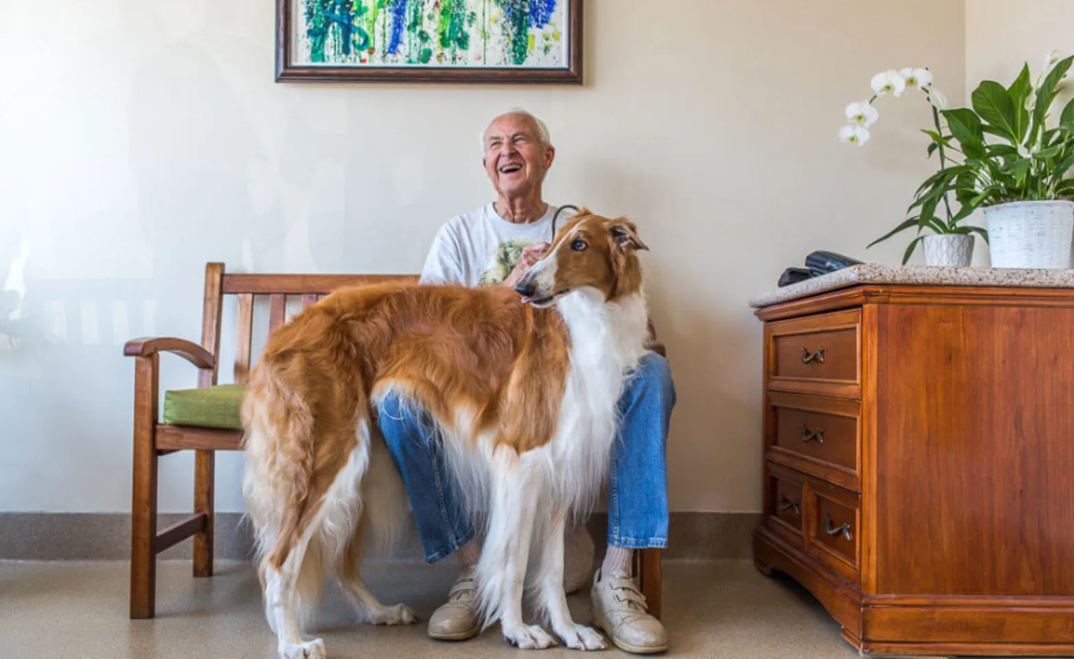 Client sitting on a bench with a tall tan and white dog in front